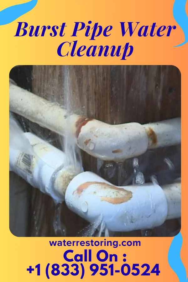 Burst Pipe Water Cleanup in Cottage City, MD