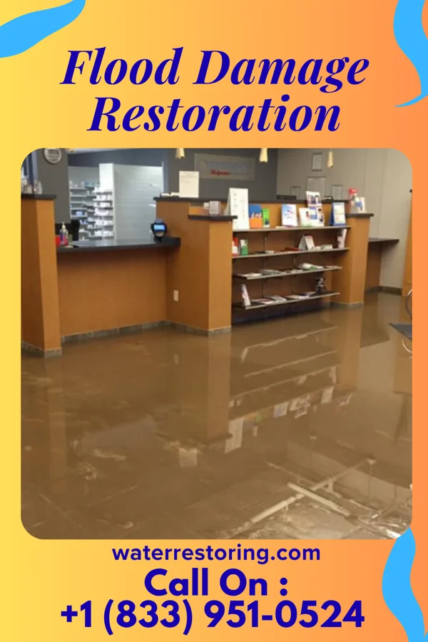 Flood Damage Restoration in Cottage City, MD