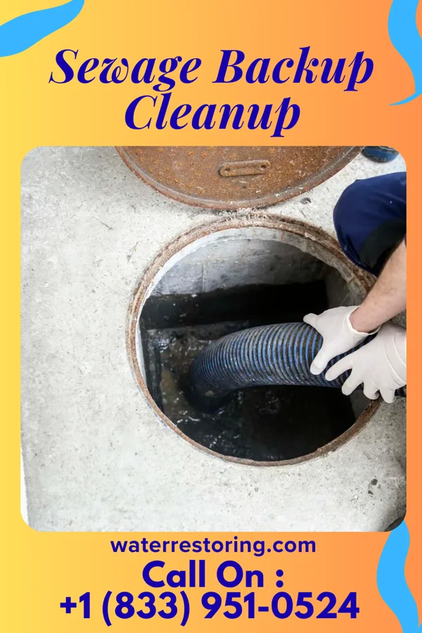 Sewage Backup Cleanup in Cottage City, MD