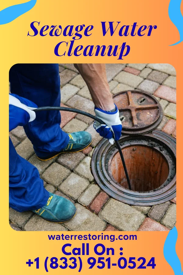 Sewage Water Cleanup in Cottage City, MD