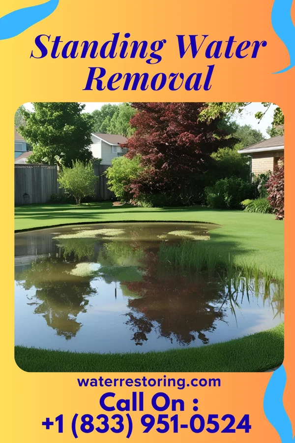 Standing Water Removal in Cottage City, MD